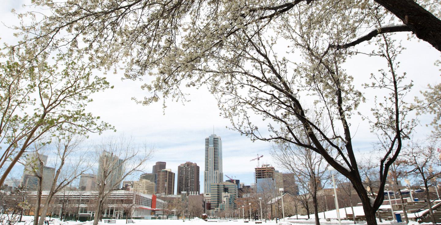 Auraria Campus on a snowy day.